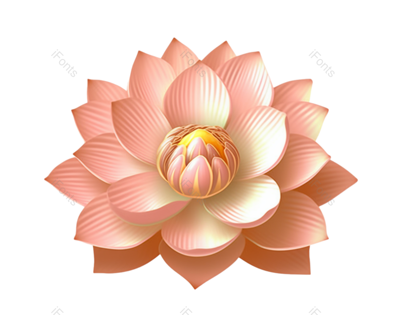 夏至图片,元素元素,插画PNG,唯美免抠素材